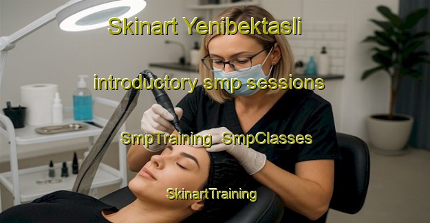 Skinart Yenibektasli introductory smp sessions | SmpTraining | SmpClasses | SkinartTraining-Turkey