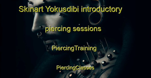 Skinart Yokusdibi introductory piercing sessions | #PiercingTraining #PiercingClasses #SkinartTraining-Turkey