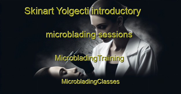 Skinart Yolgecti introductory microblading sessions | #MicrobladingTraining #MicrobladingClasses #SkinartTraining-Turkey