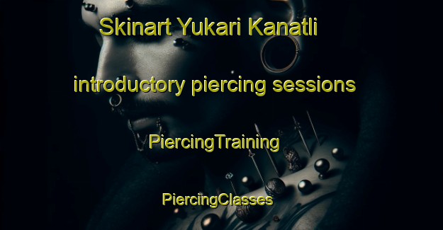 Skinart Yukari Kanatli introductory piercing sessions | PiercingTraining | PiercingClasses | SkinartTraining-Turkey