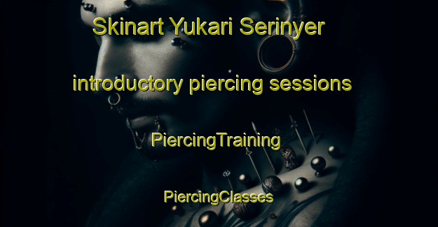 Skinart Yukari Serinyer introductory piercing sessions | #PiercingTraining #PiercingClasses #SkinartTraining-Turkey