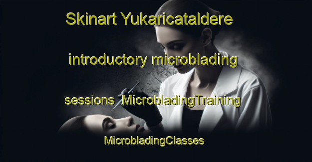 Skinart Yukaricataldere introductory microblading sessions | MicrobladingTraining | MicrobladingClasses | SkinartTraining-Turkey
