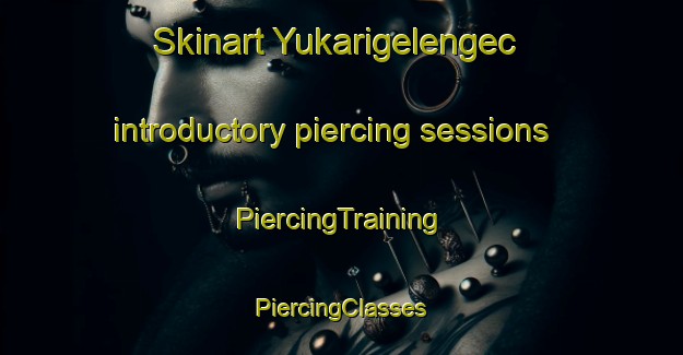 Skinart Yukarigelengec introductory piercing sessions | #PiercingTraining #PiercingClasses #SkinartTraining-Turkey