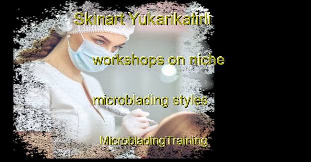 Skinart Yukarikatirli workshops on niche microblading styles | #MicrobladingTraining #MicrobladingClasses #SkinartTraining-Turkey